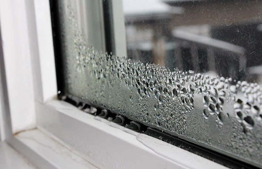 Window Condensation: Causes, Prevention & Treatment — Cascella and