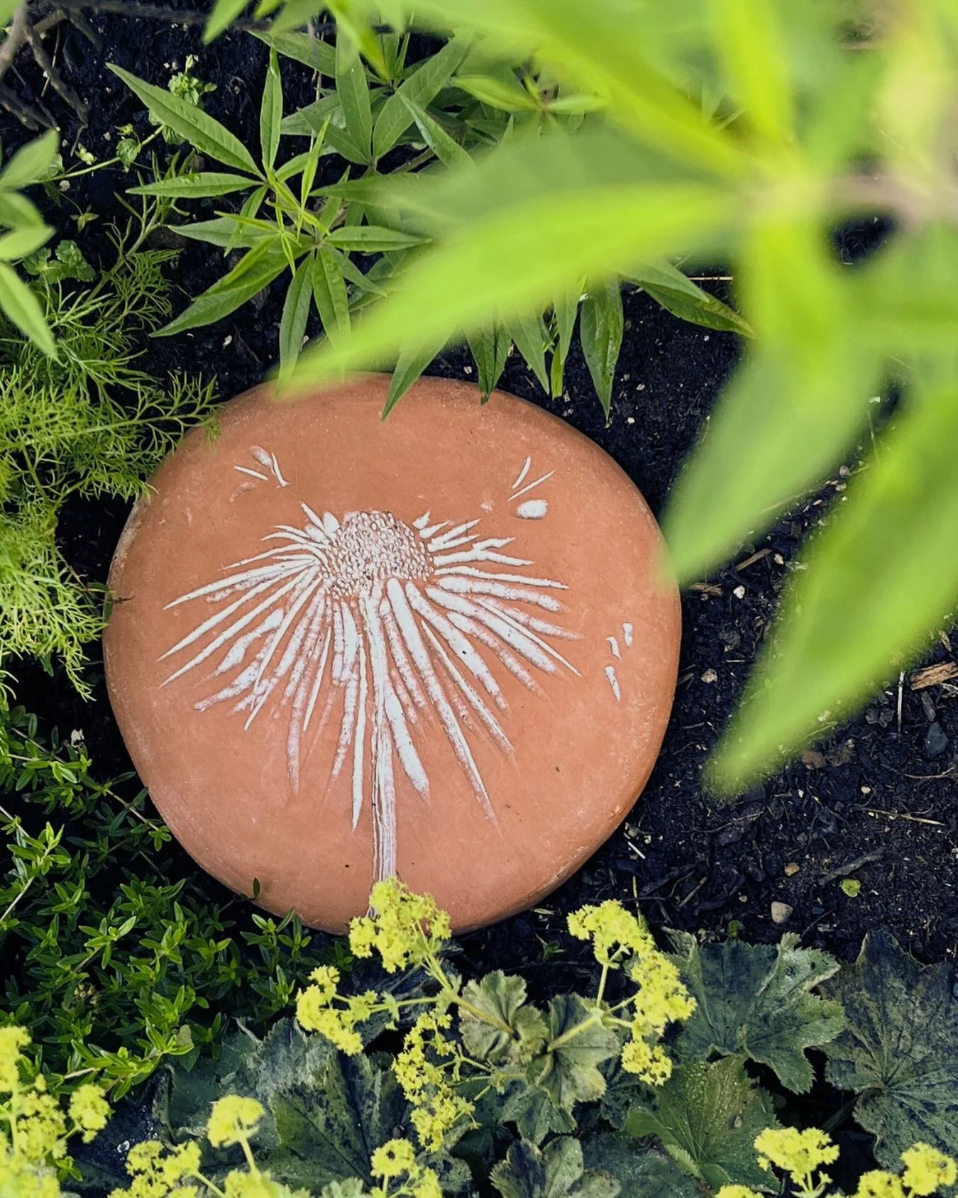 Ein Trittstein. Sonnenhut im Beet.
Sgraffito auf Ton.
Tritt drauf. Er nimmt&rsquo;s nicht pers&ouml;nlich.

#ammerseeceramics #gartenkeramik #sgraffito #trittstein #sonnenhut