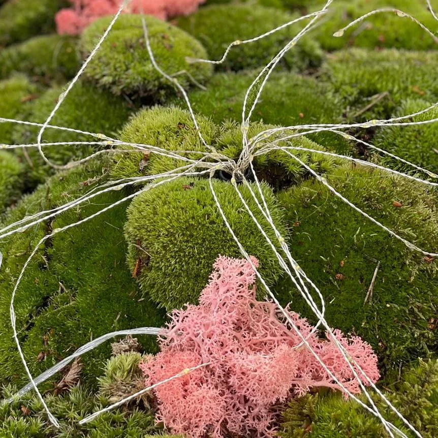 Popkultur-moss_pink.jpg