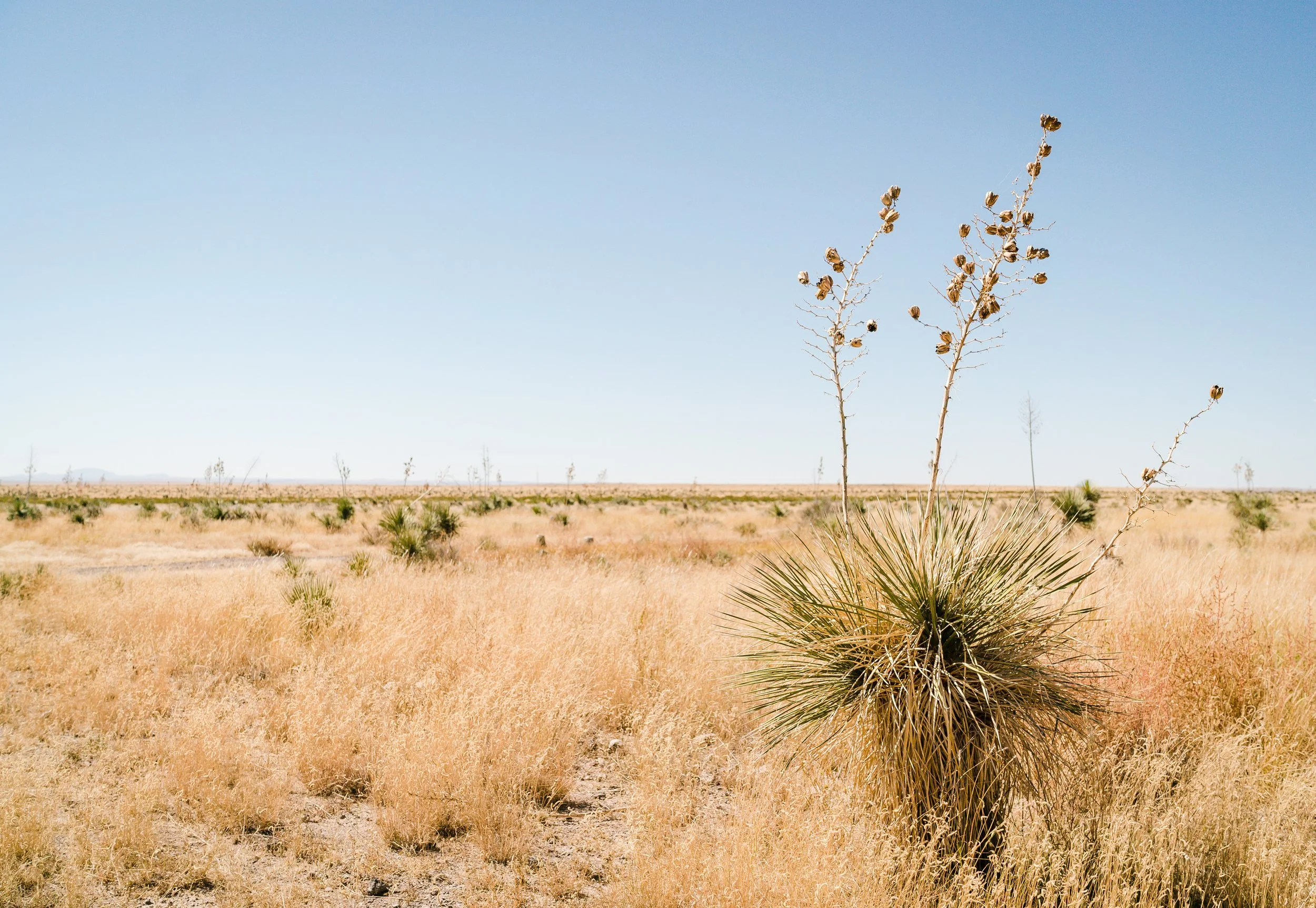 A CHEAT SHEET TO FAR WEST TEXAS — The Scout Guide West Texas