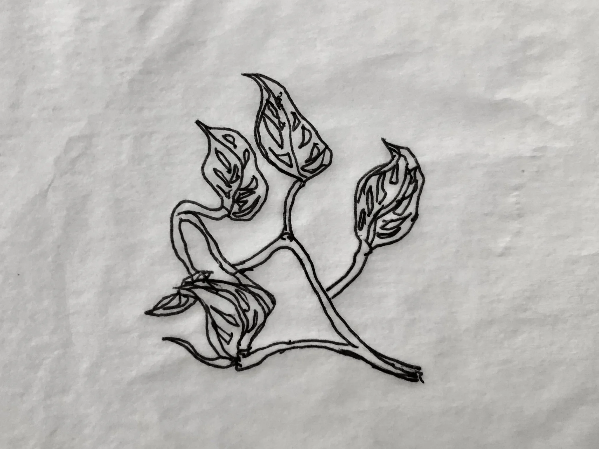 Floral & Plant Design