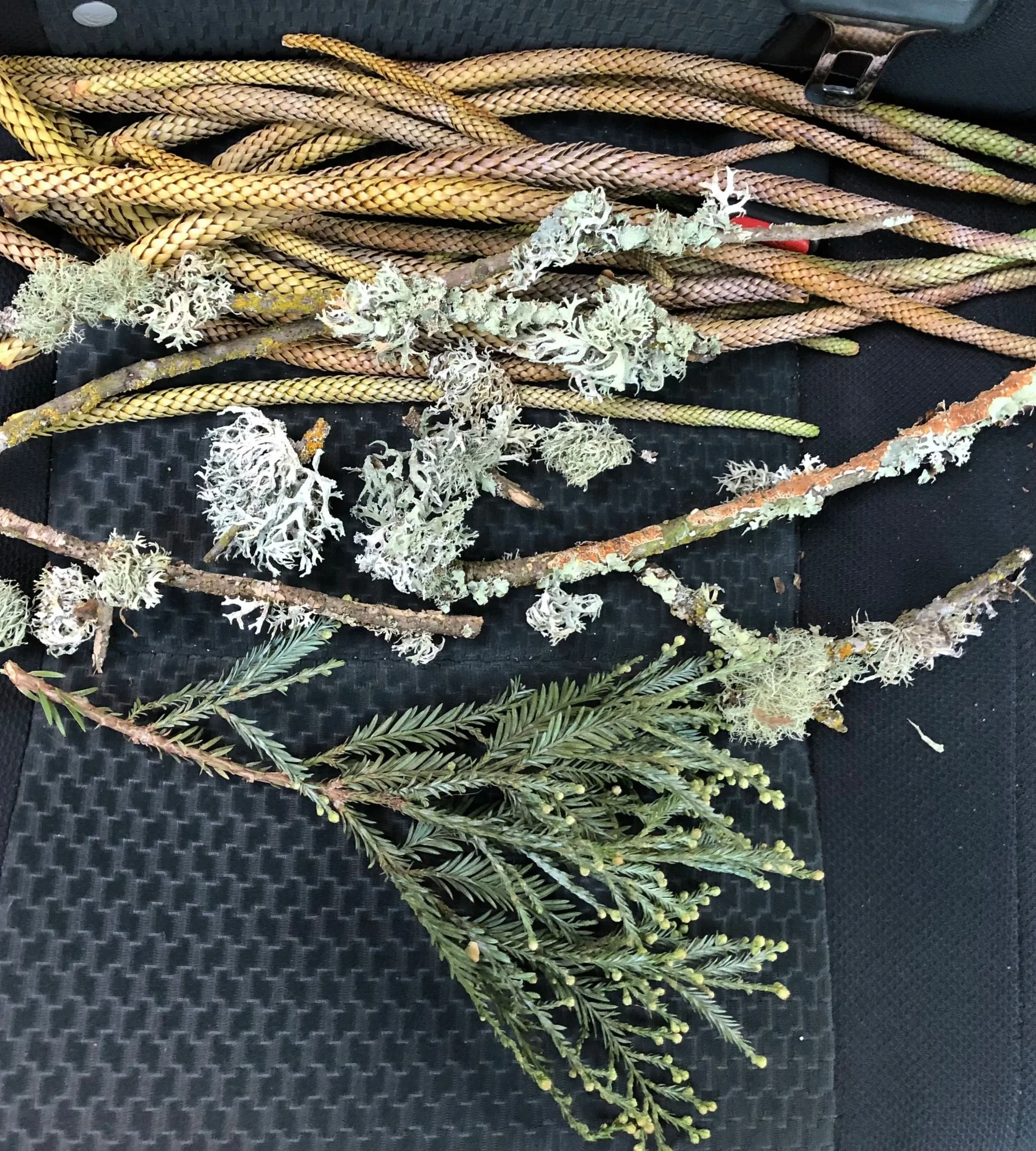 Floral & Plant Design