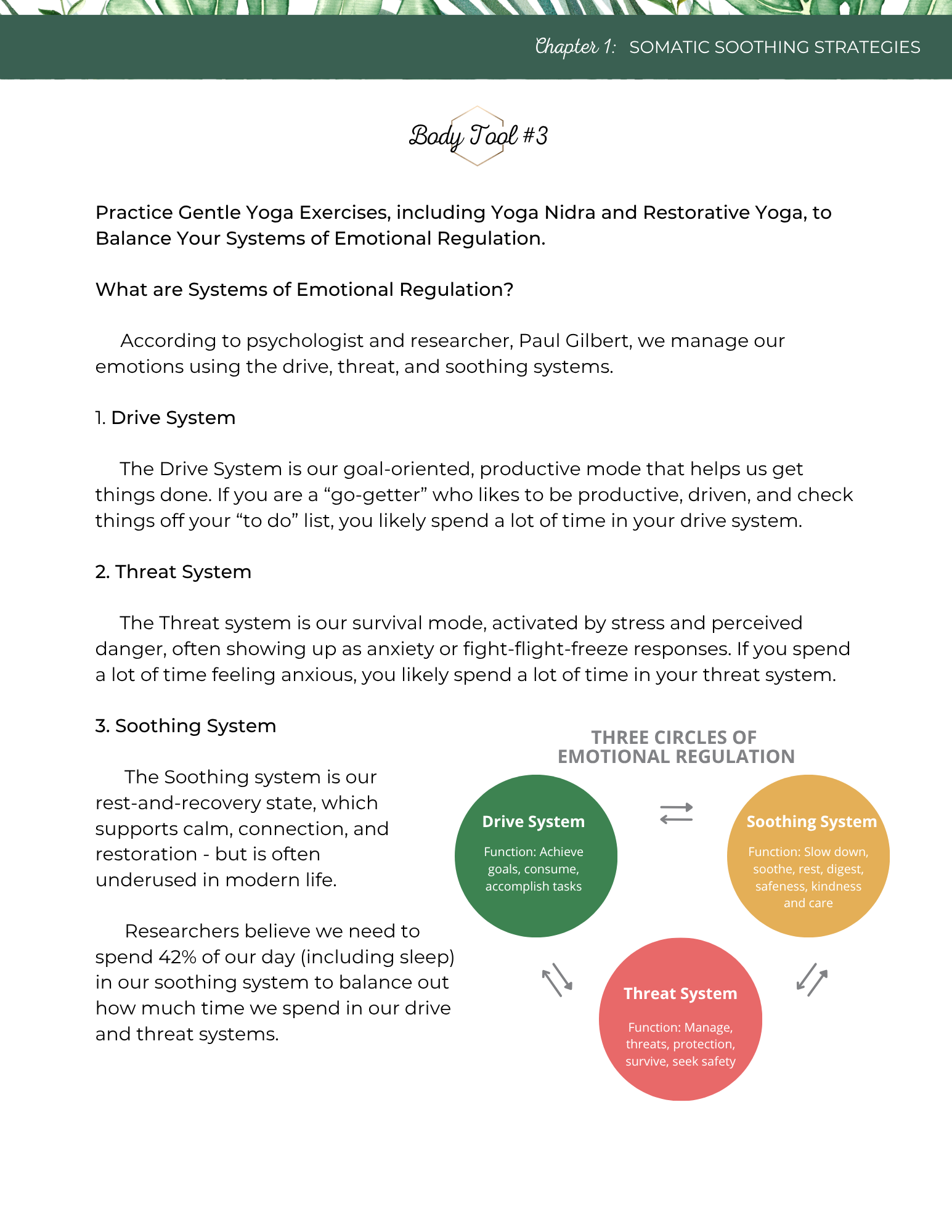 Systems of Emotional Regulation Image from Workbook 2026.png