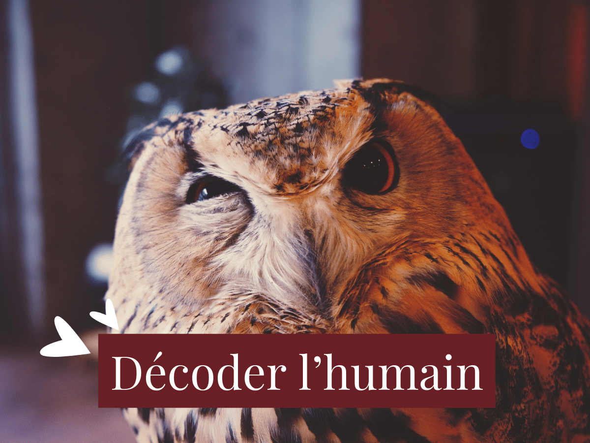 Décoder les humains : ma méthode de survie