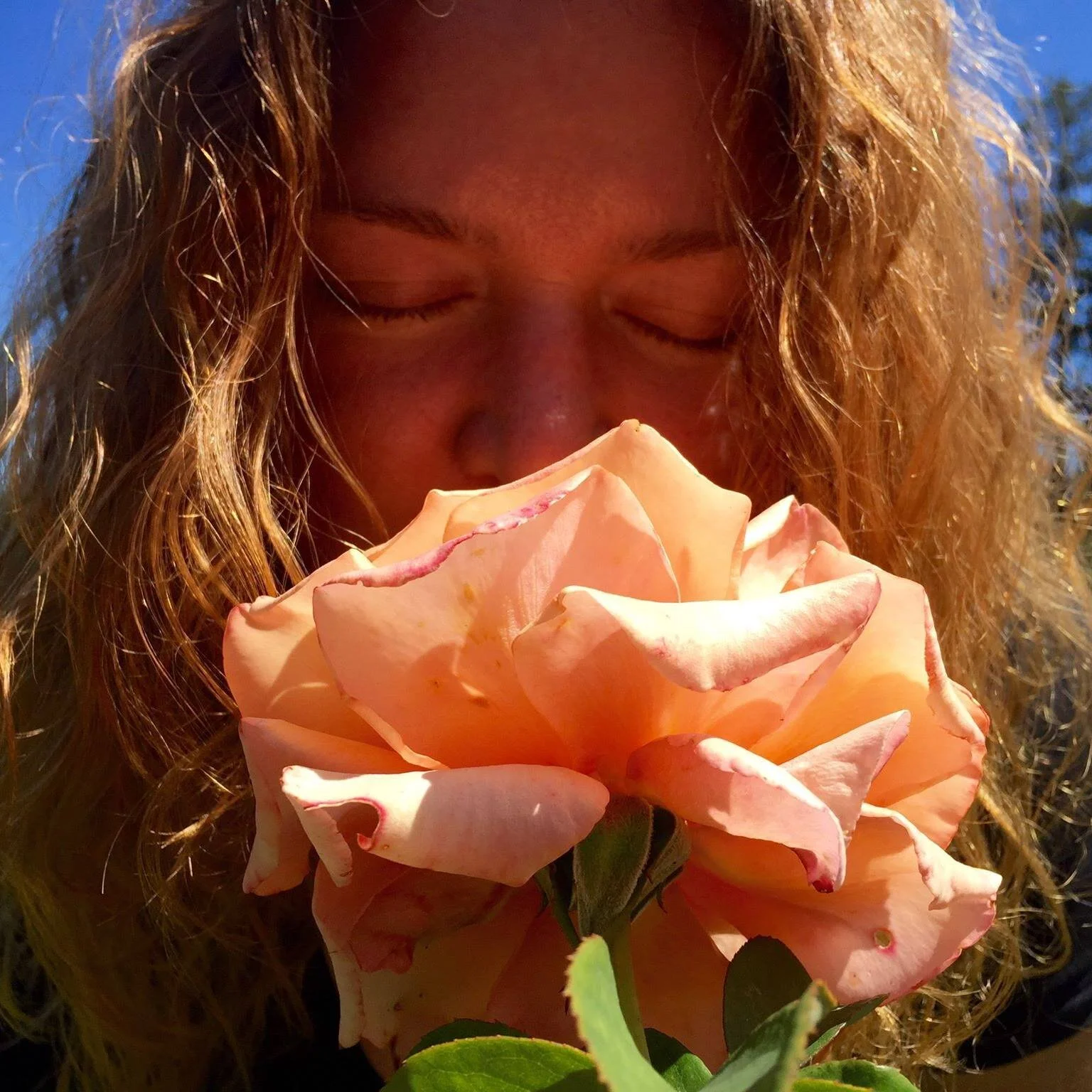 What is a Life Well Savored?