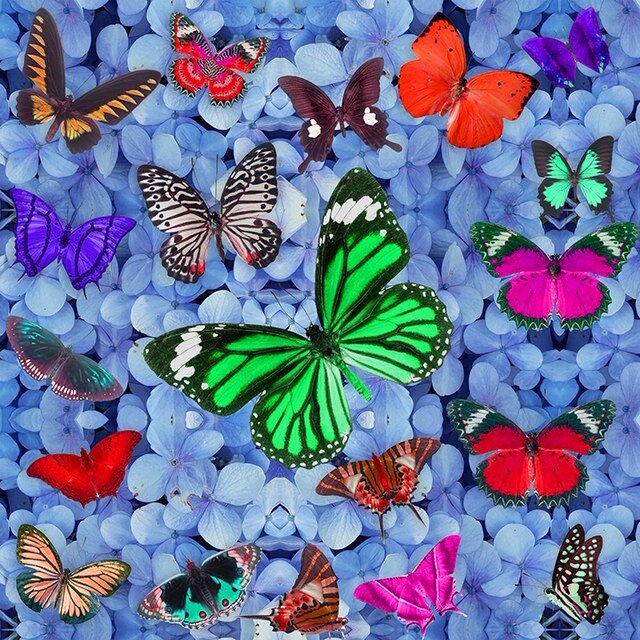 Butterfly Heaven (Blue)
