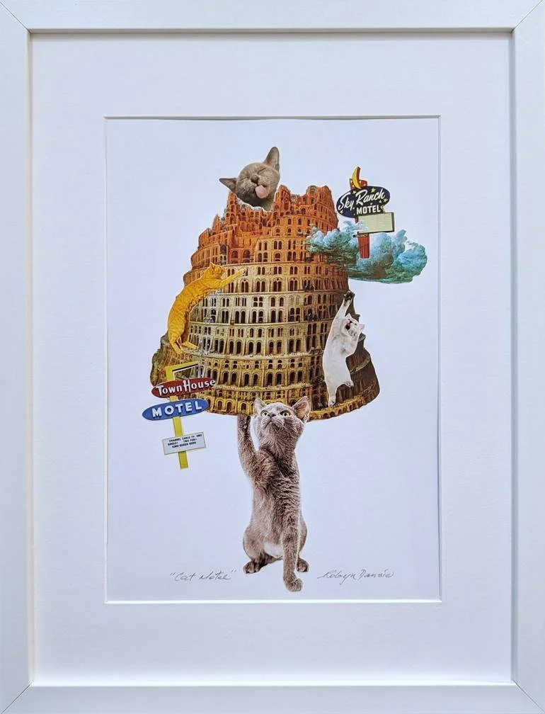 dansie cat motel.jpg