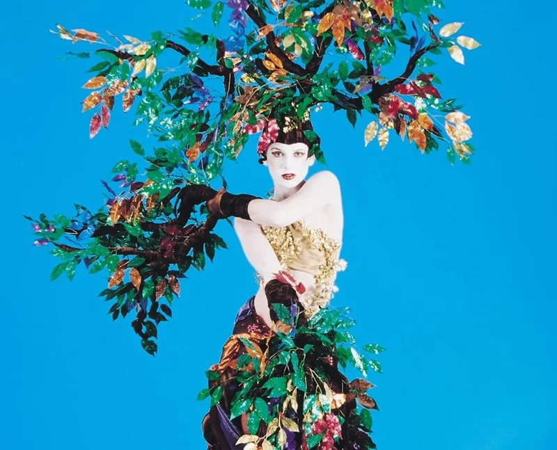 Dancing with the Universe: with IONA Contemporary Dance Theatre Founder & Artistic Director Cheryl Faharty