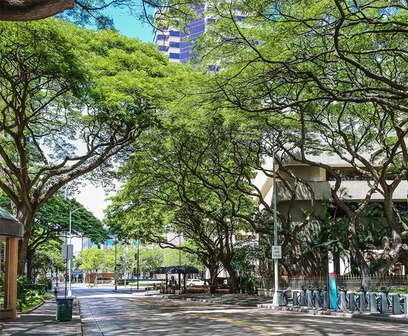 DAC Walking Tour: Art, History &amp; Architecture in the HEART of Honolulu