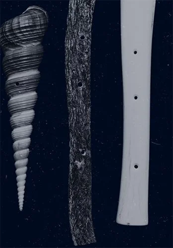 Taonga Pūoro: the Sounds and Stories of Māori Musical Instruments
