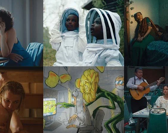 2026 Sundance Film Festival Short Film Tour - The Boys and the Bees