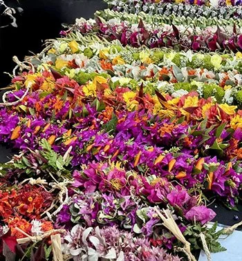 Lei Poʻo Workshop with Kumu Kuhi