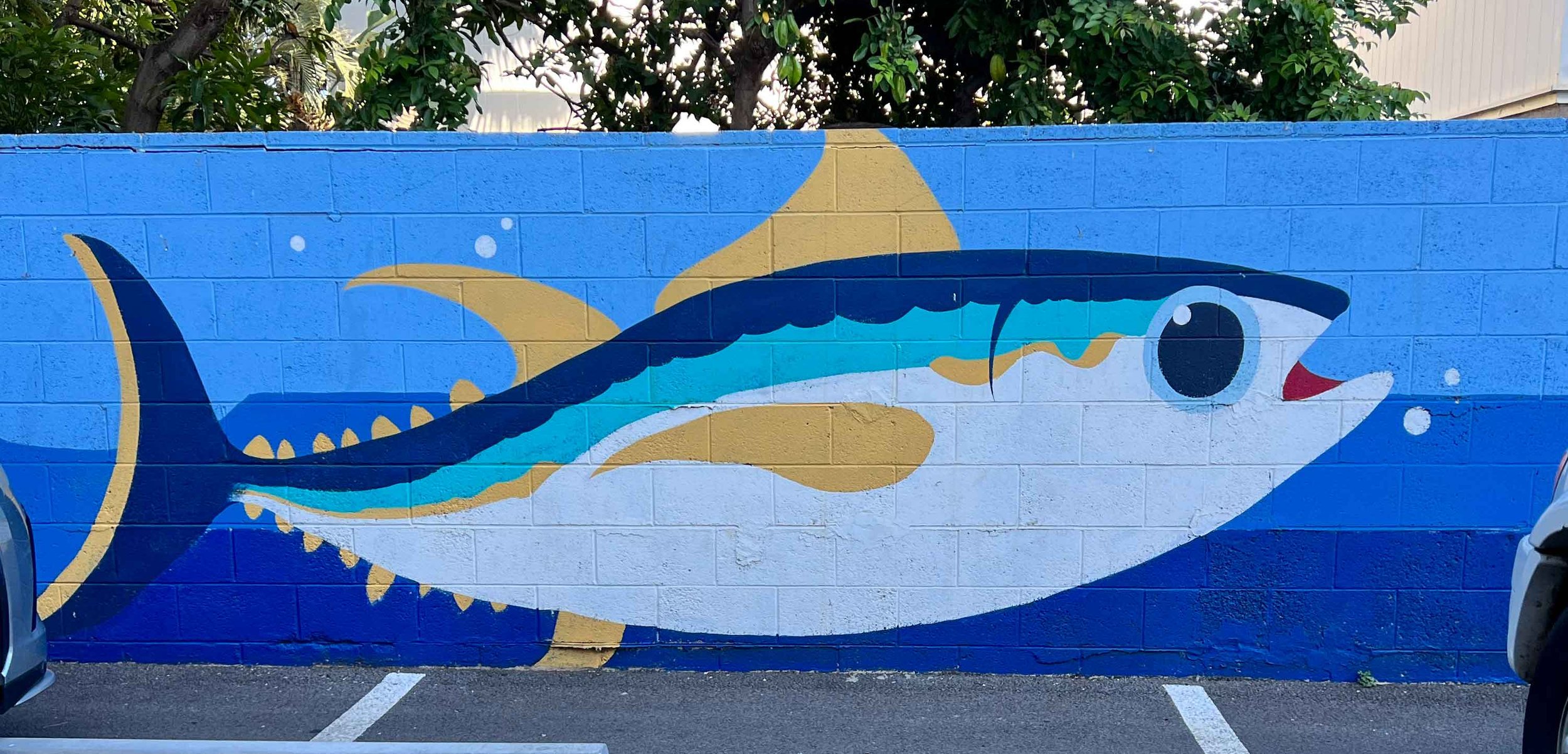 Artist Unknown, Hanapaa Fishing on Colburn St.