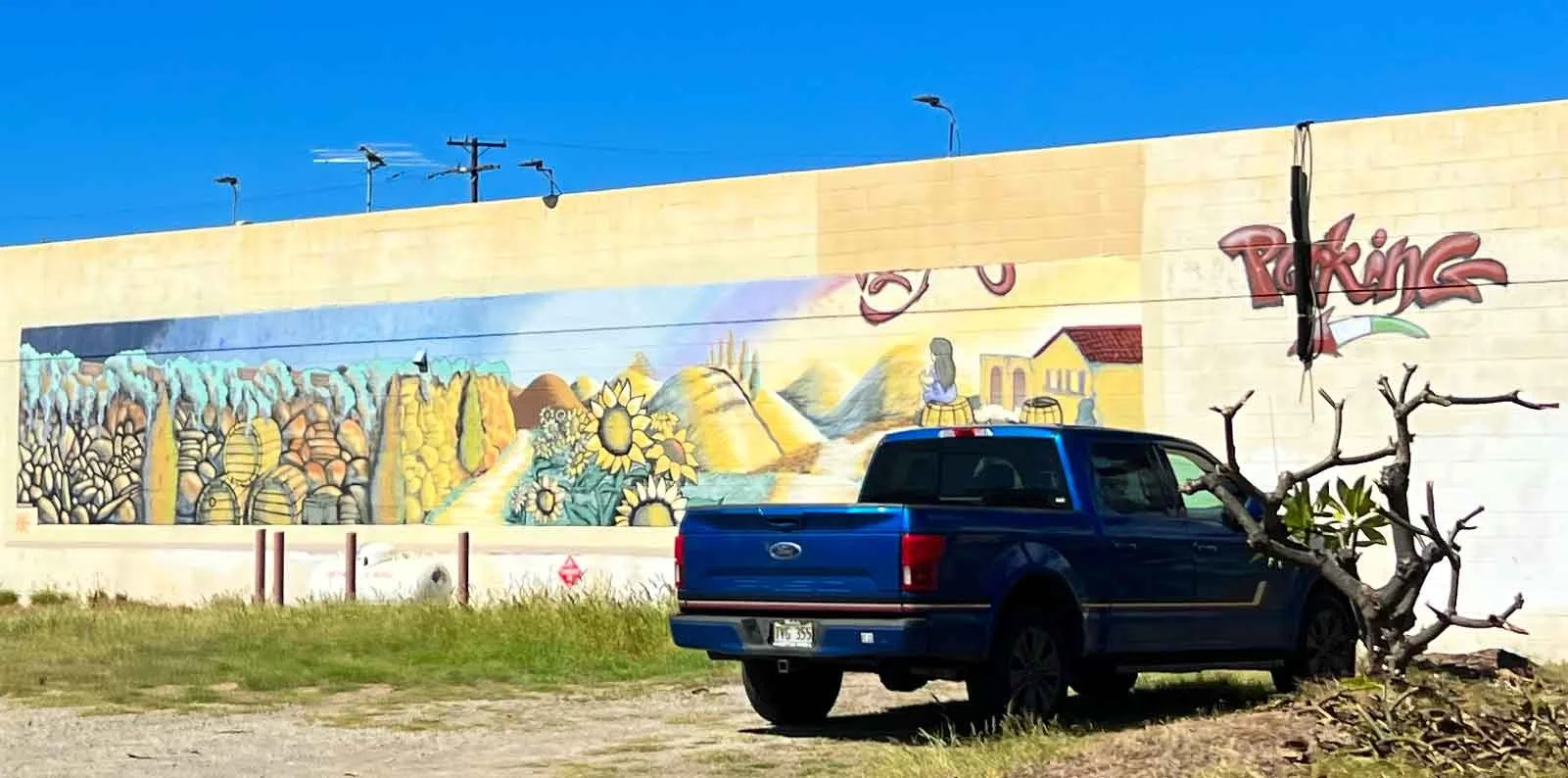 Artist Unknown Farrington Hwy