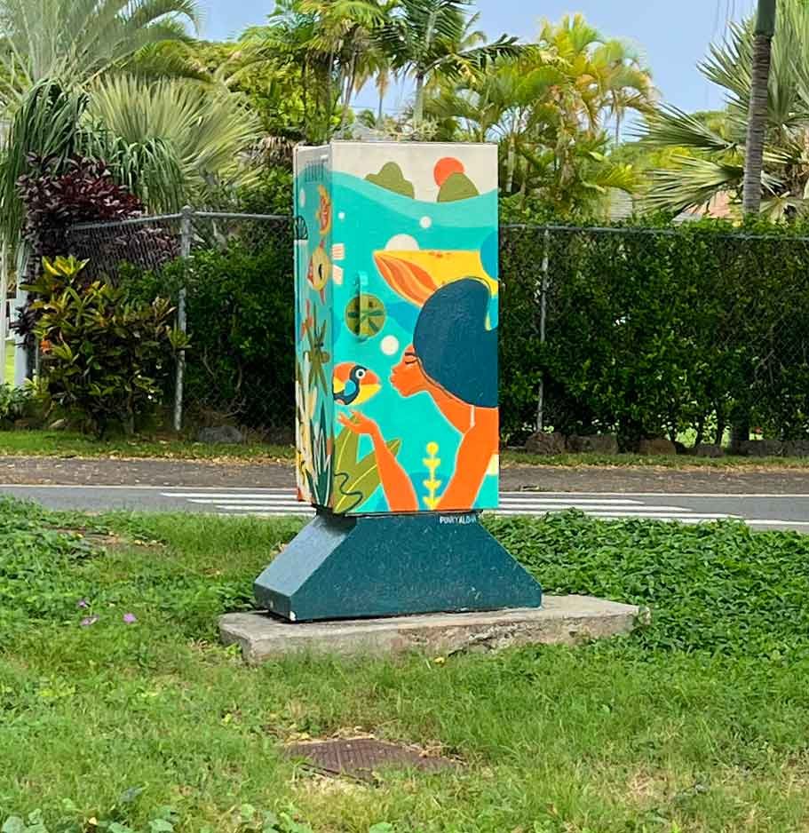Punky Aloha, Kailua