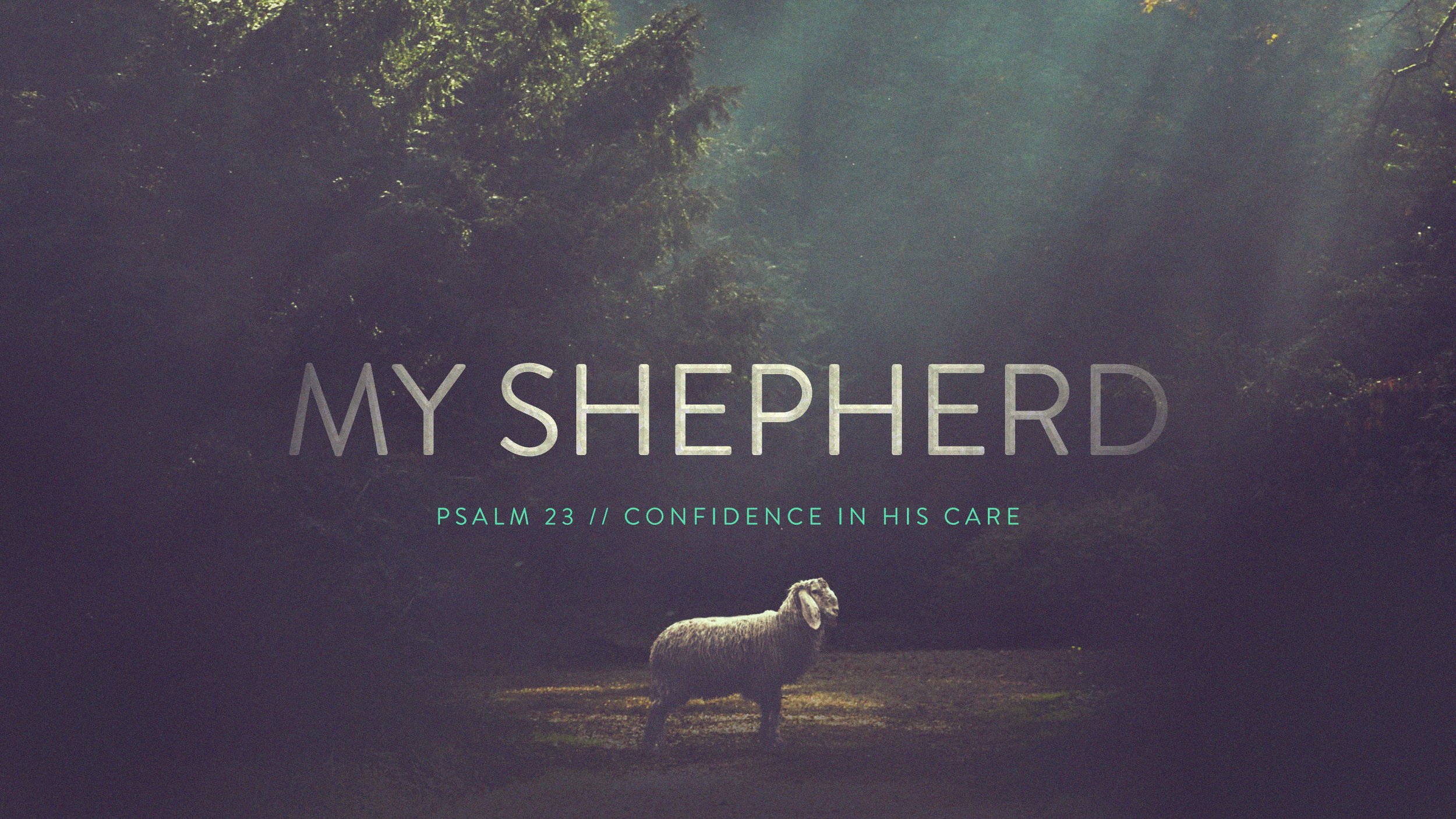 My Shepherd.jpg