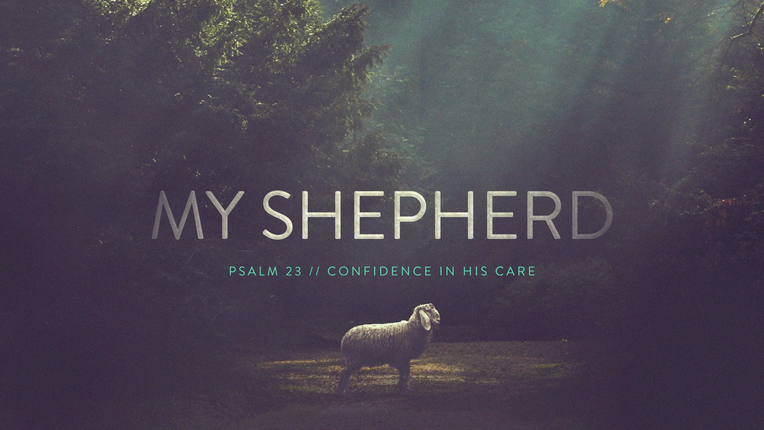 My Shepherd.jpg
