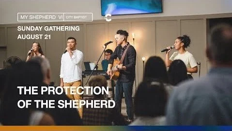 Part 6 — The Protection of the Shepherd