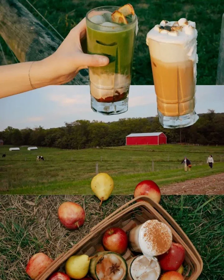 THE MOST ANTICIPATED SEASON FOR COFFEE IS HERE AND IT&rsquo;S SO GOOD!!! 🍂🧺🌝🥧🍎🎞️🌲☕️🍁🌠🍯🧸🧡🧃🍐🧣

Hi pumpkin &amp; apple lovers! It&rsquo;s time for all things cozy &amp; spiced &amp; delicious!!! Like walking into grandma&rsquo;s kitchen o