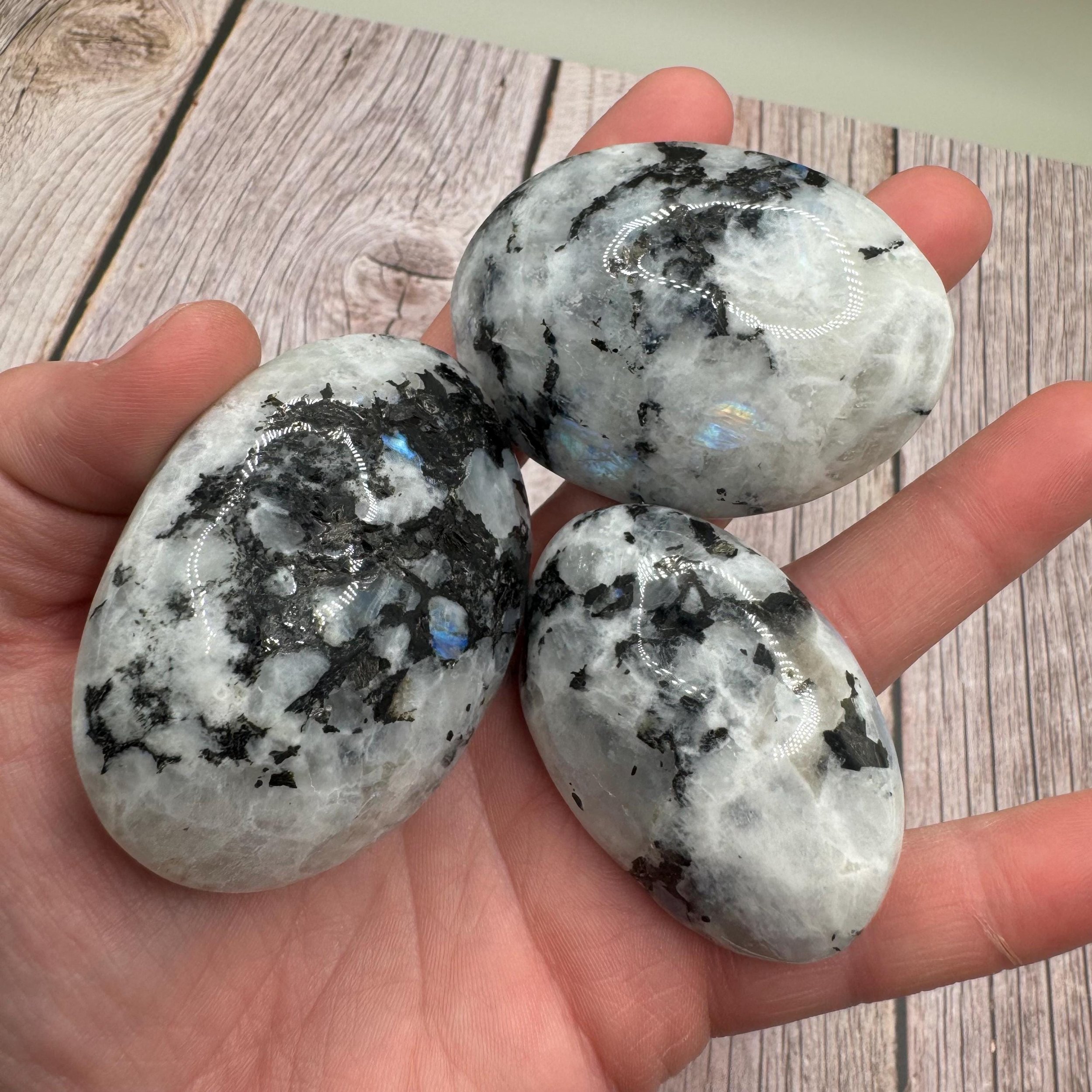 https://i.etsystatic.com/22708917/r/il/b896f2/6462156496/il_fullxfull.6462156496_jcb4.jpg