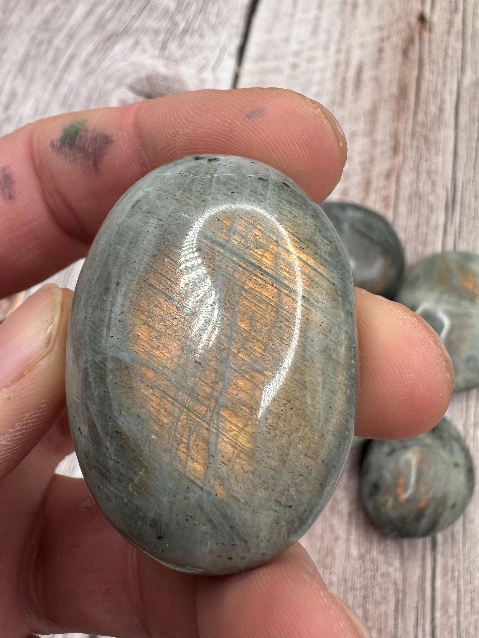 https://i.etsystatic.com/22708917/r/il/23c1b2/6475287077/il_fullxfull.6475287077_k85c.jpg