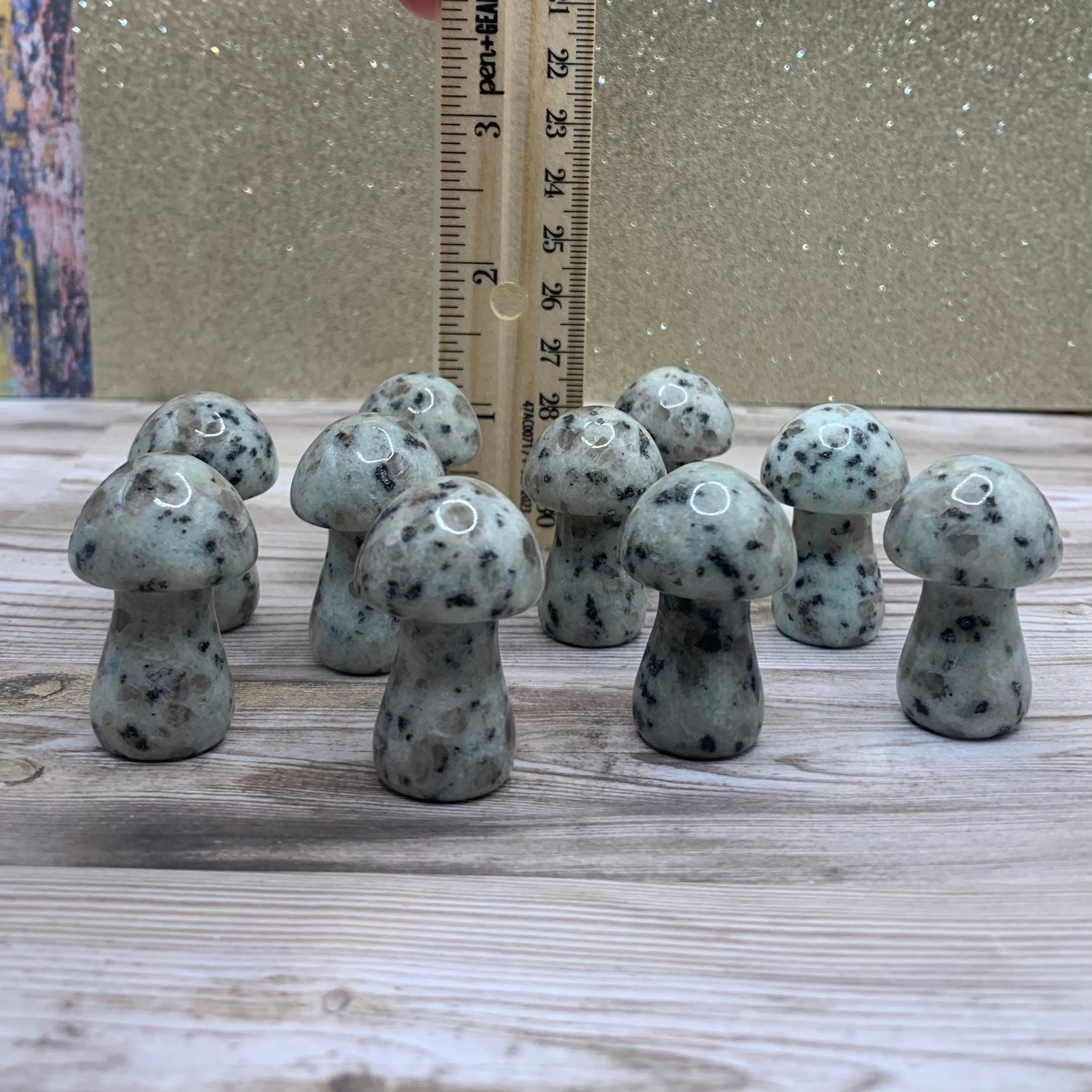 https://i.etsystatic.com/22708917/r/il/77440c/5638734988/il_fullxfull.5638734988_8d27.jpg