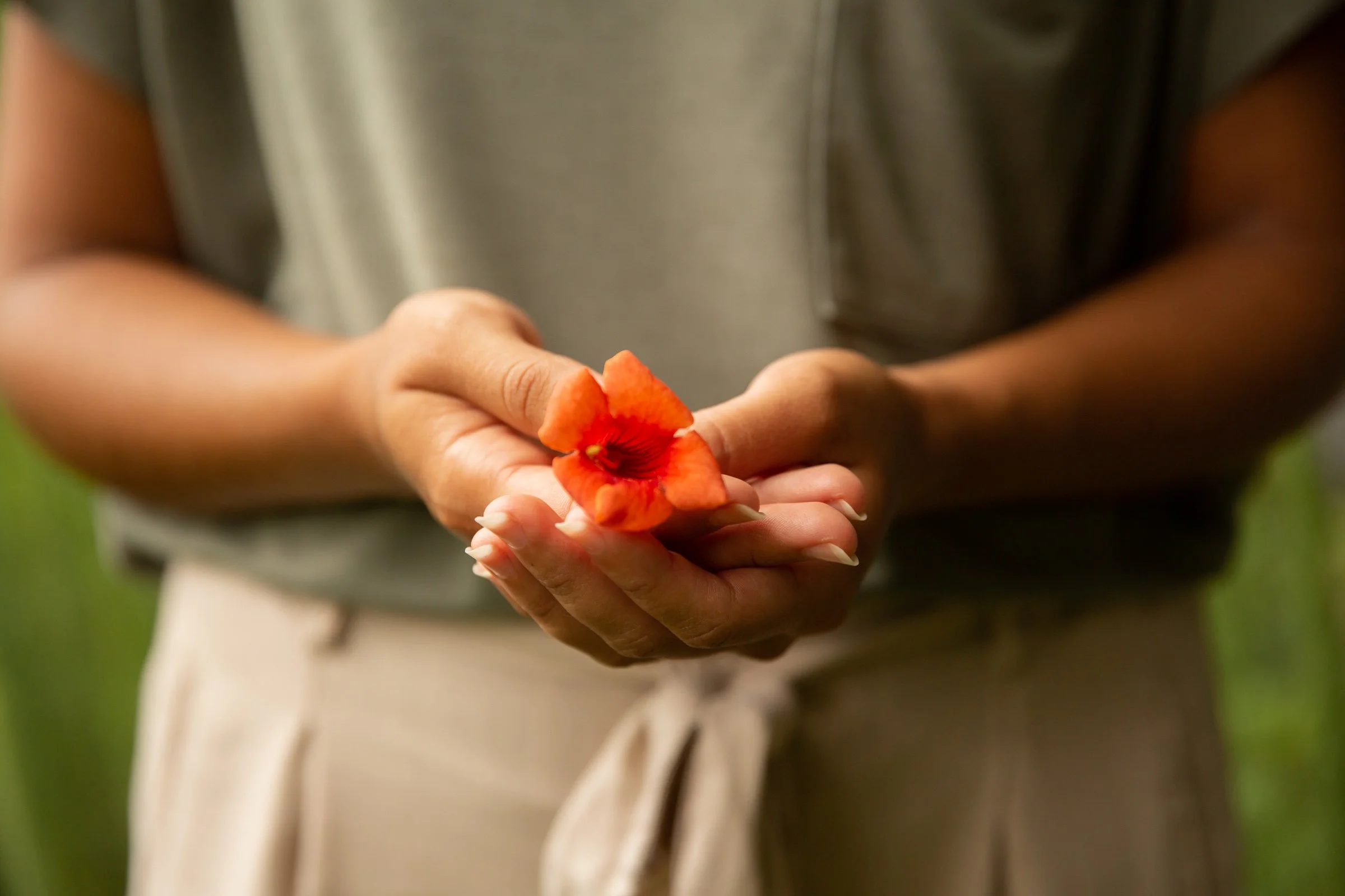 Ayurveda & Meditation Wellness Bundle