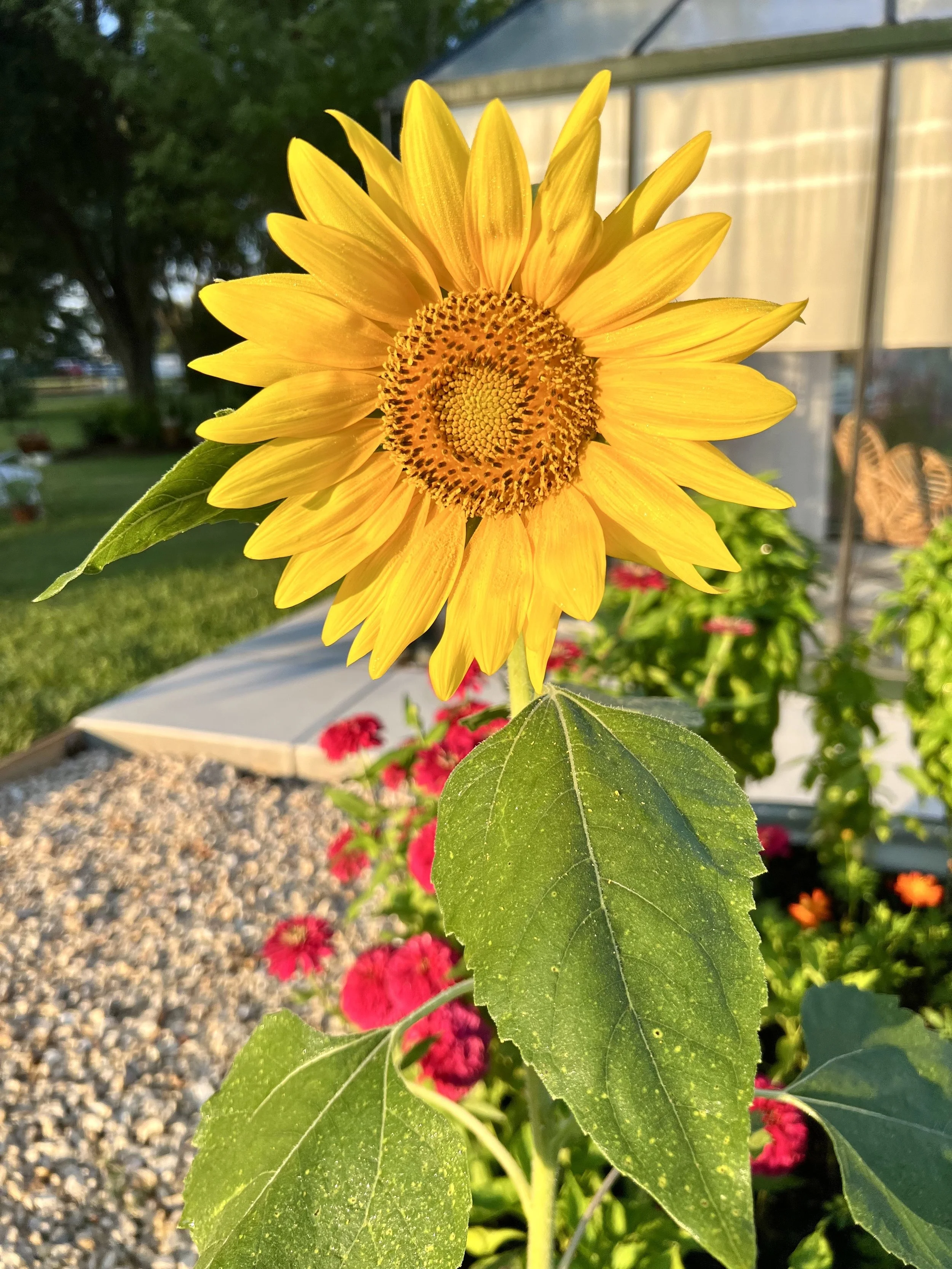 Let’s Talk About Wellness - Fall 2025