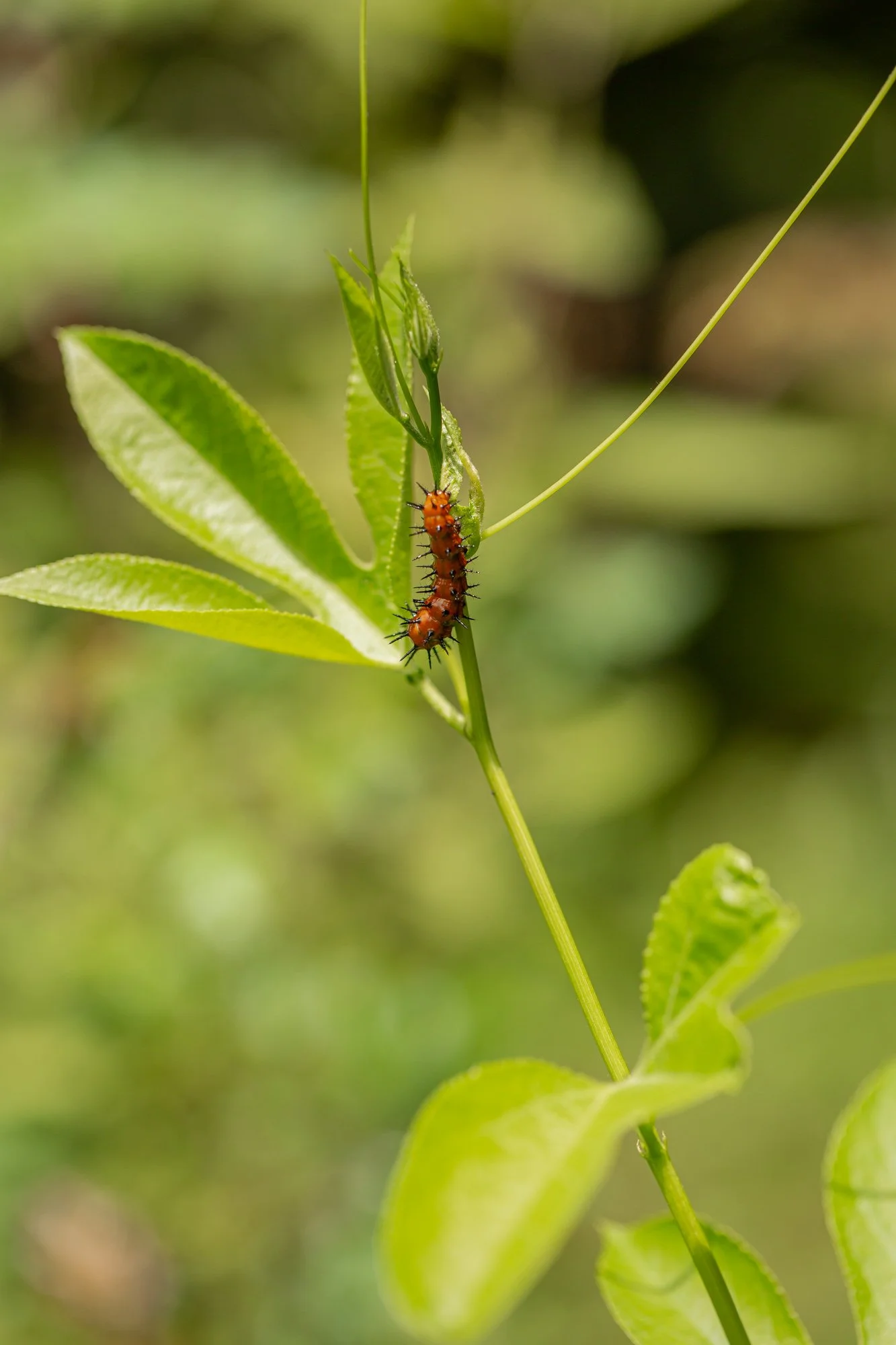 Let’s Talk About Wellness - Winter 2026 