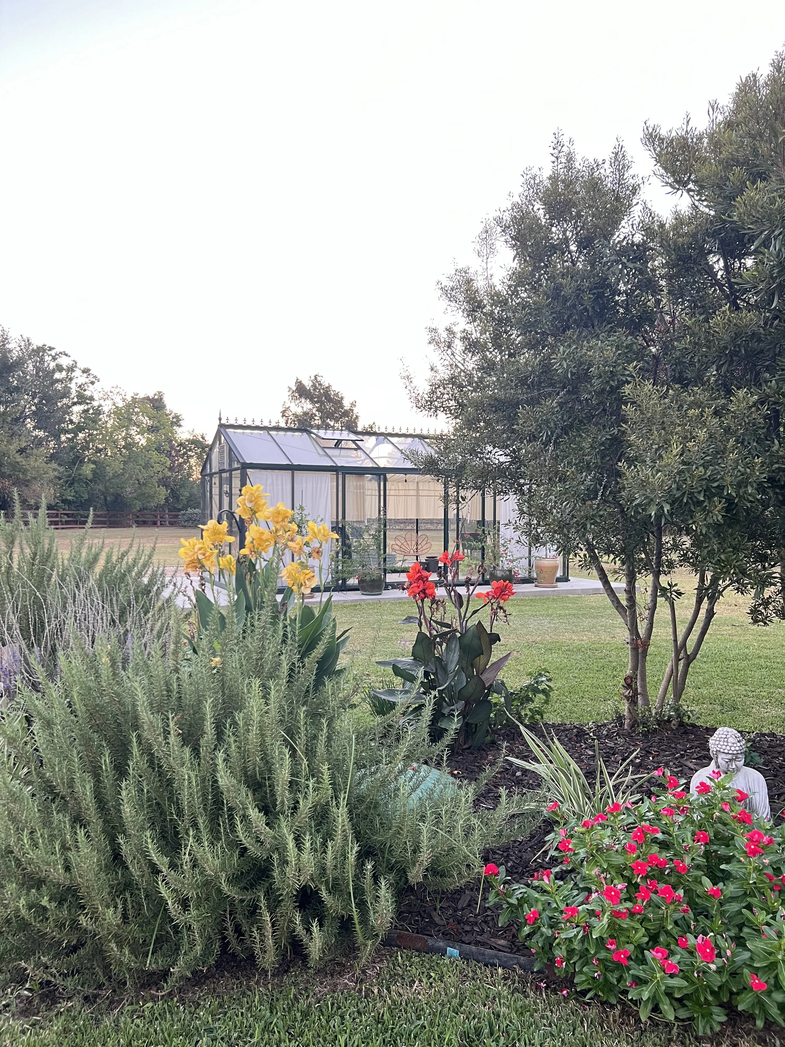 Let’s Talk About Wellness - Spring 2026 