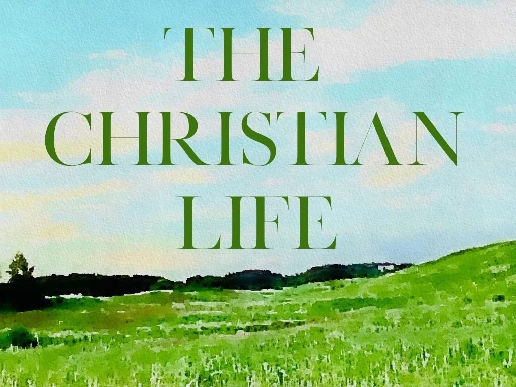 (01) The Christian Life