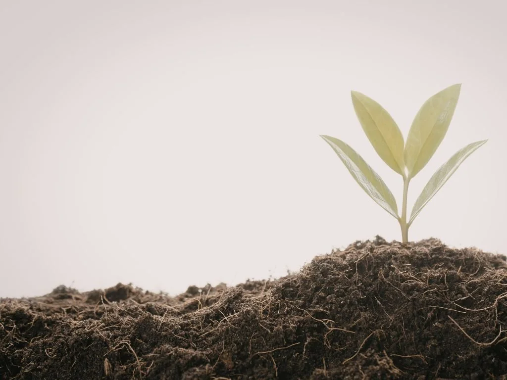 (1) A Healthy Church: God’s Design &amp; Our Responsibility