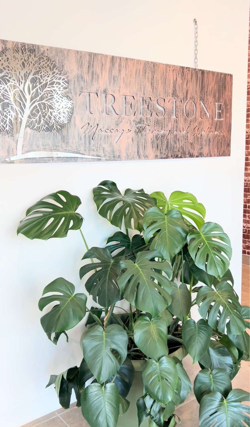 Stony Plain Massage. Spruce Grove Massage. Decorative wooden sign with the text 'Treestone Massage Therapy and Wellness' featuring a tree design, hanging above a lush Monstera plant.