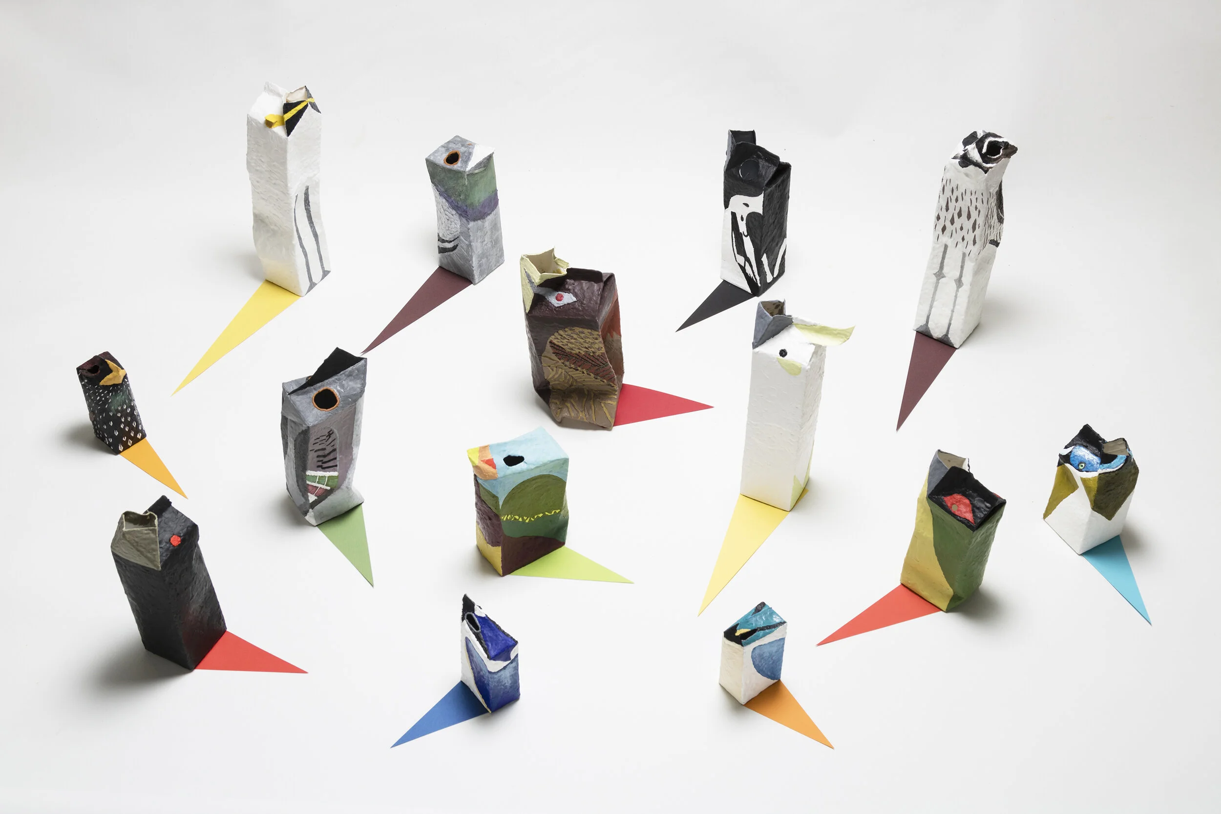 MKelly_Birds of the D'Aguilar Range.jpg