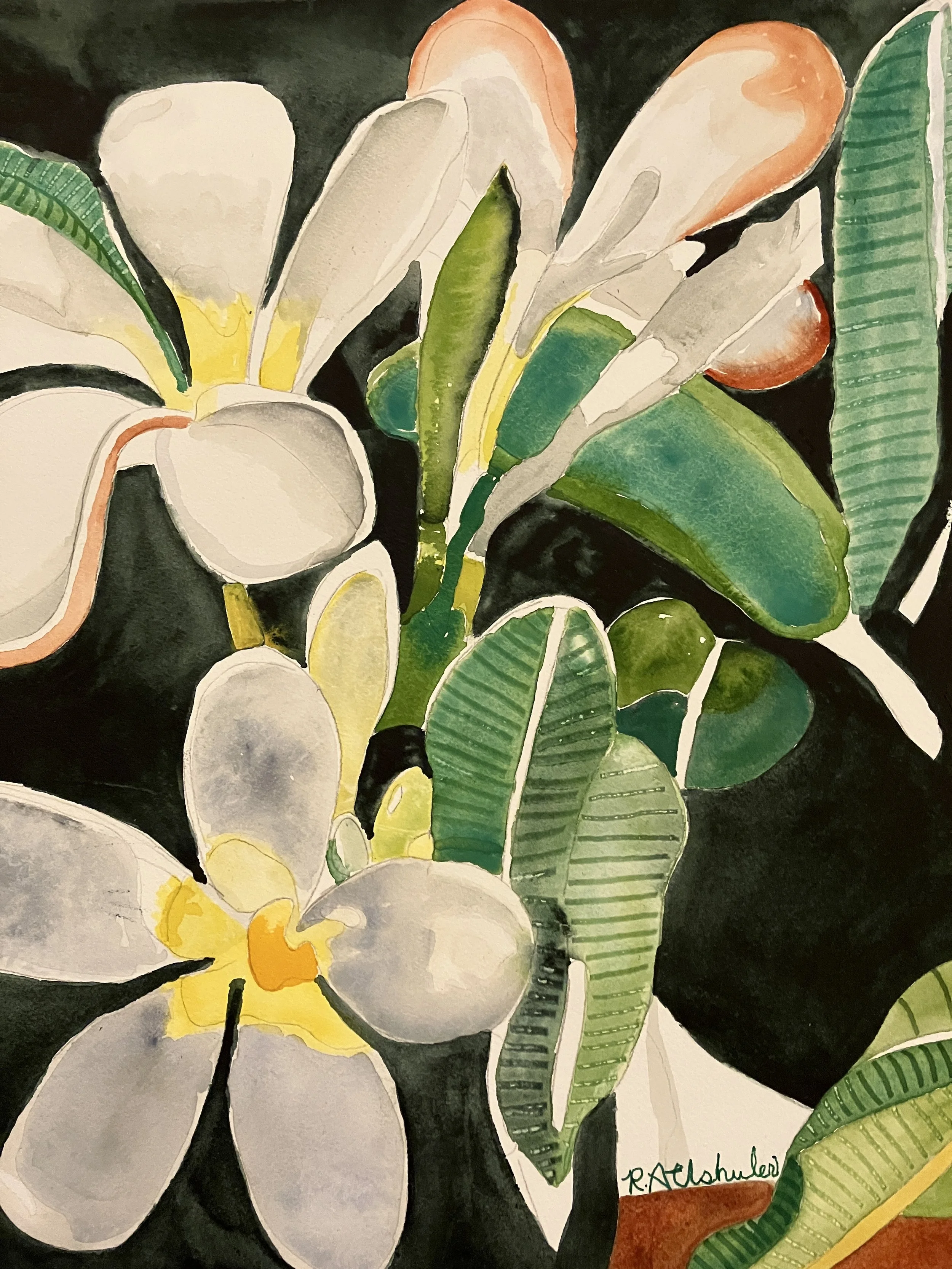 Peppy Plumeria