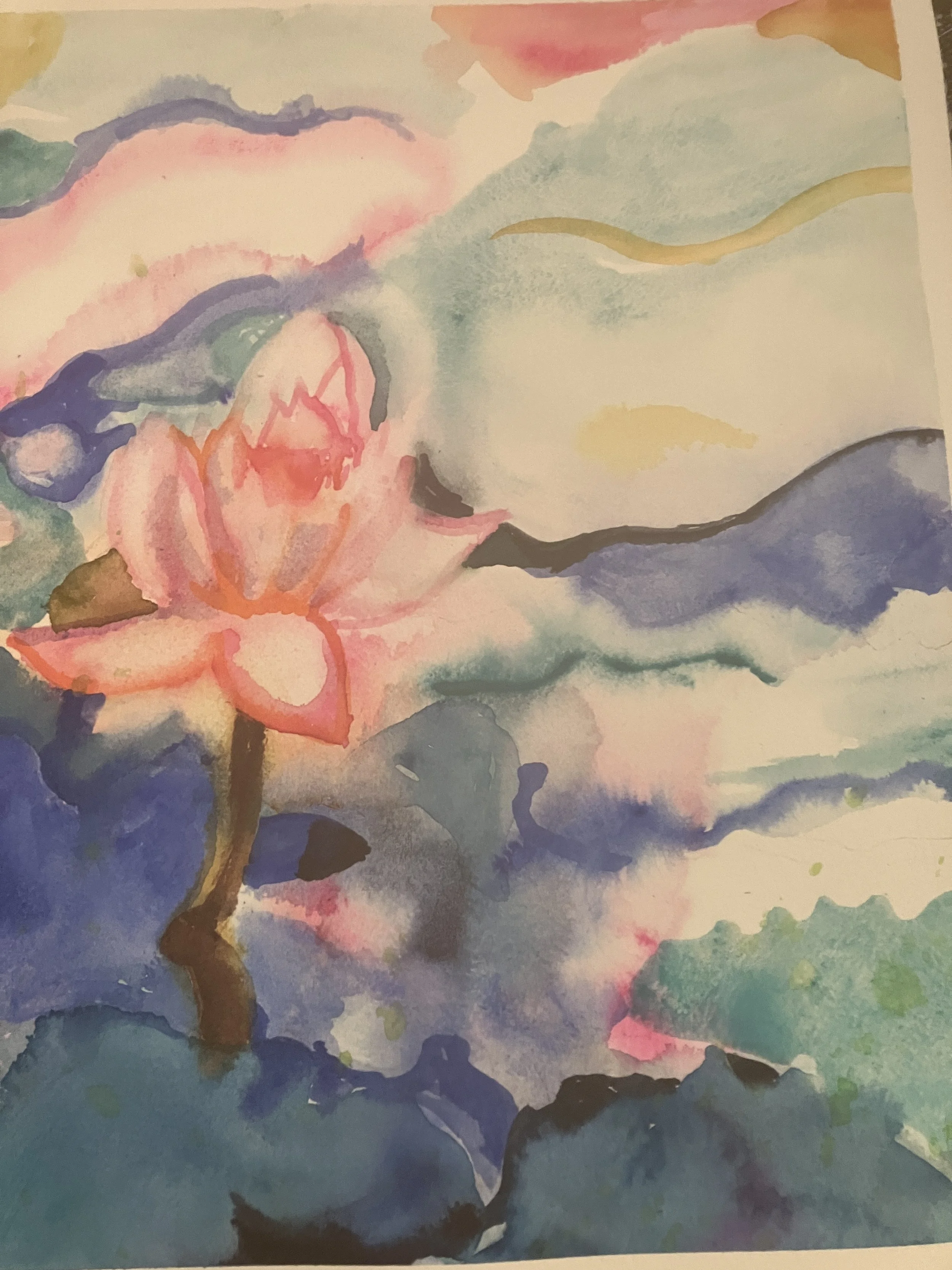 Water Lily