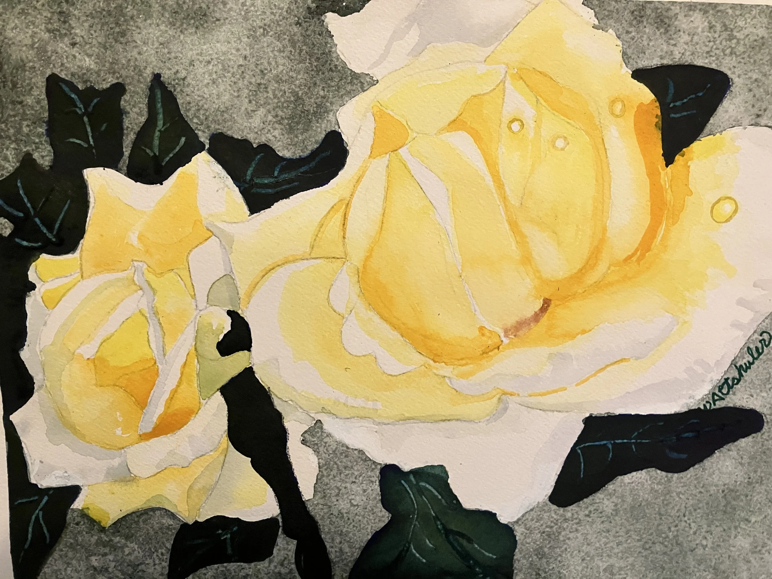 Two Yellow Roses