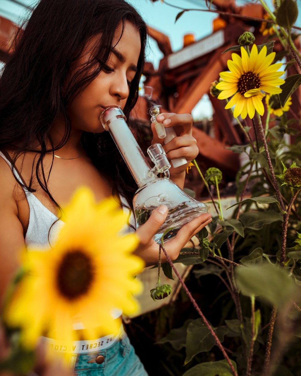 cannabis law bong Global Law Media