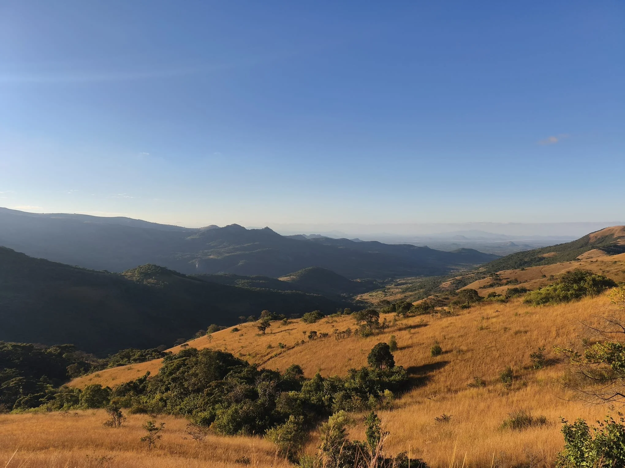 Copy_1_Chimanimani_Tsetsera_junho25.jpeg