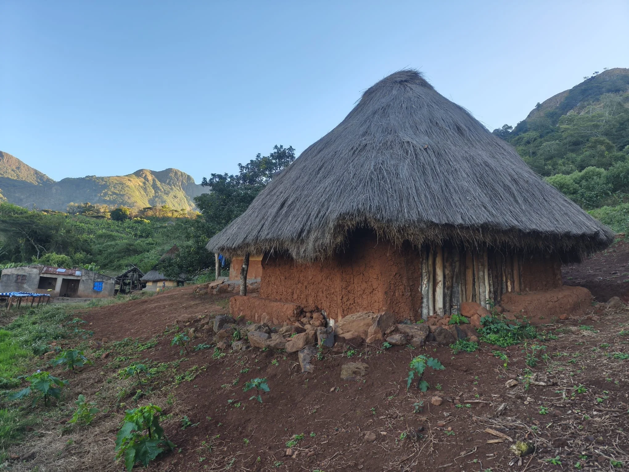 Copy_2_Chimanimani_Tsetsera_junho25.jpeg