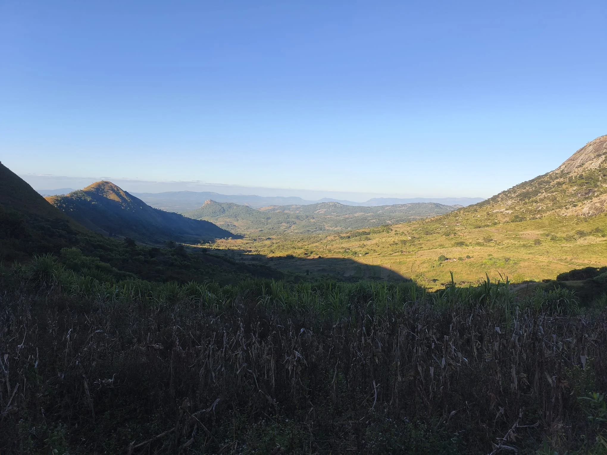 Copy_4_Chimanimani_Tsetsera_junho25.jpeg