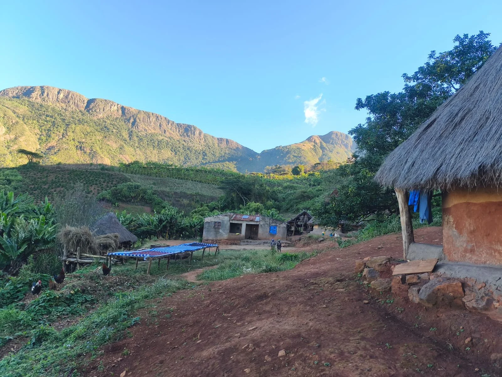 Copy_6_Chimanimani_Tsetsera_junho25.jpeg