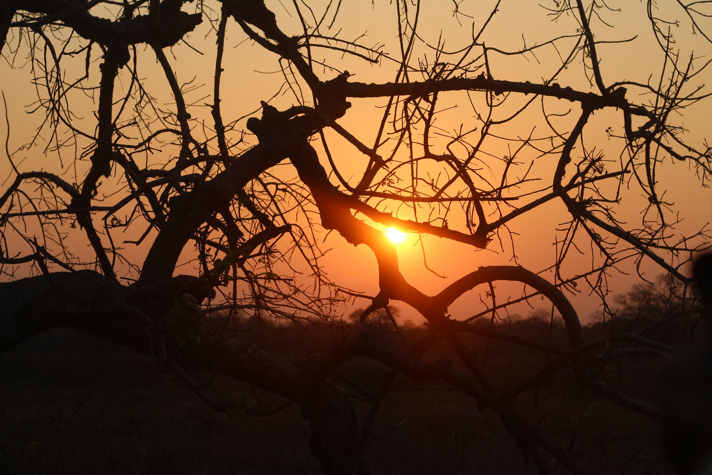 17_MissaoGorongosa_2023.JPG