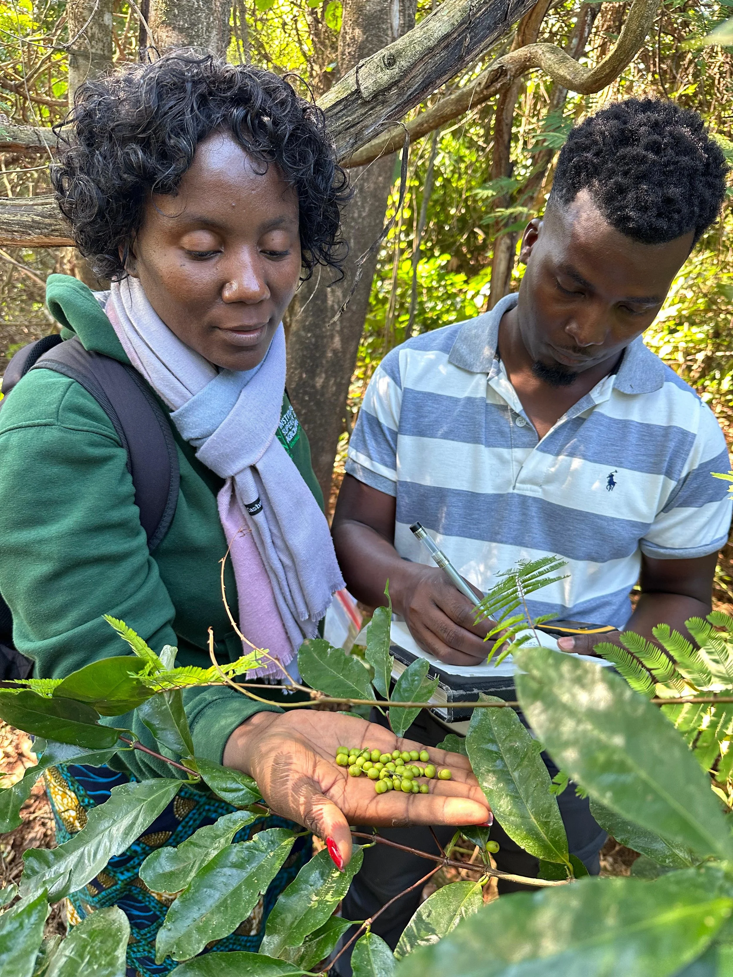 Copy of Campo_5.jpeg