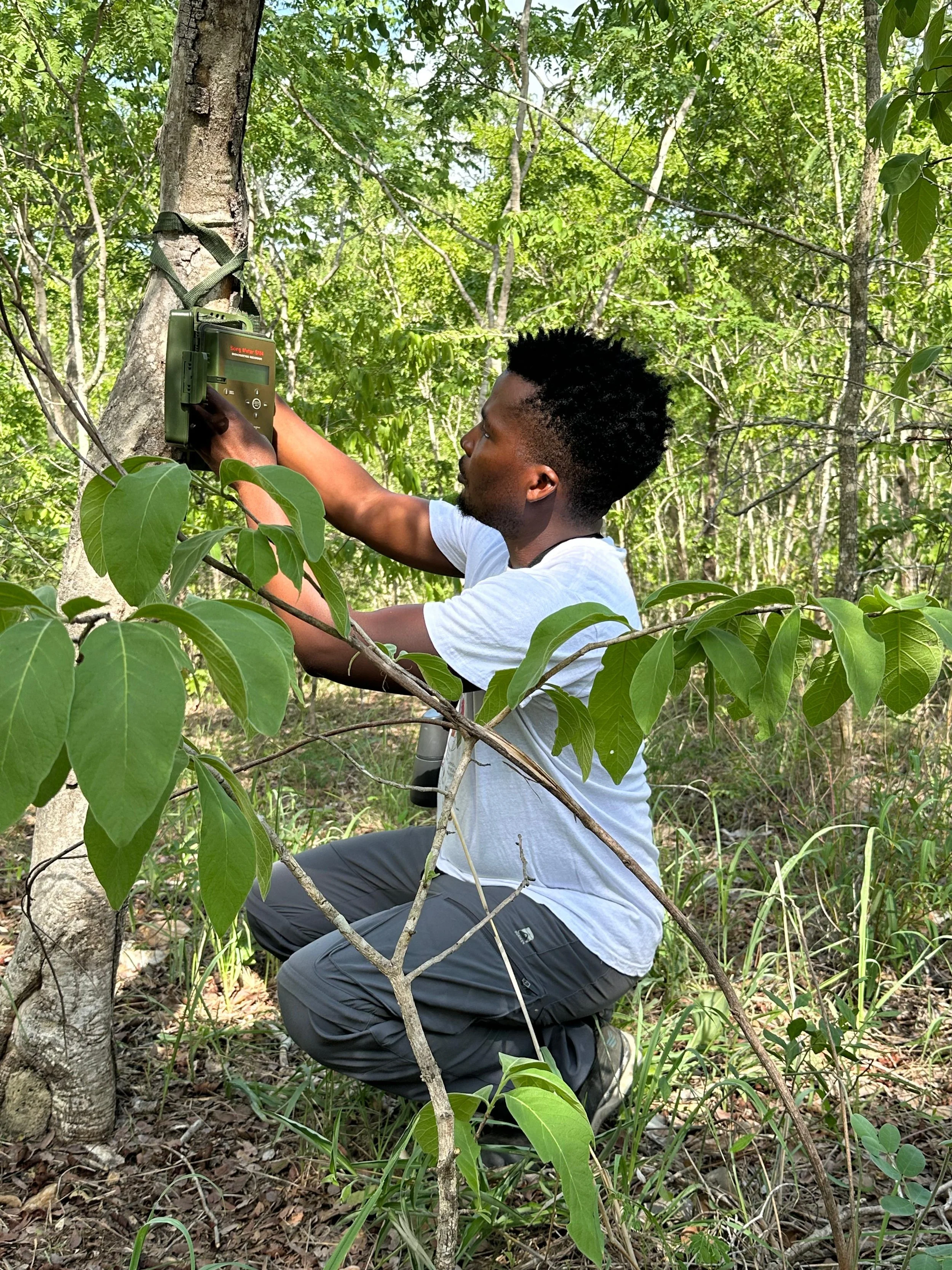 Copy of Campo_4.jpeg