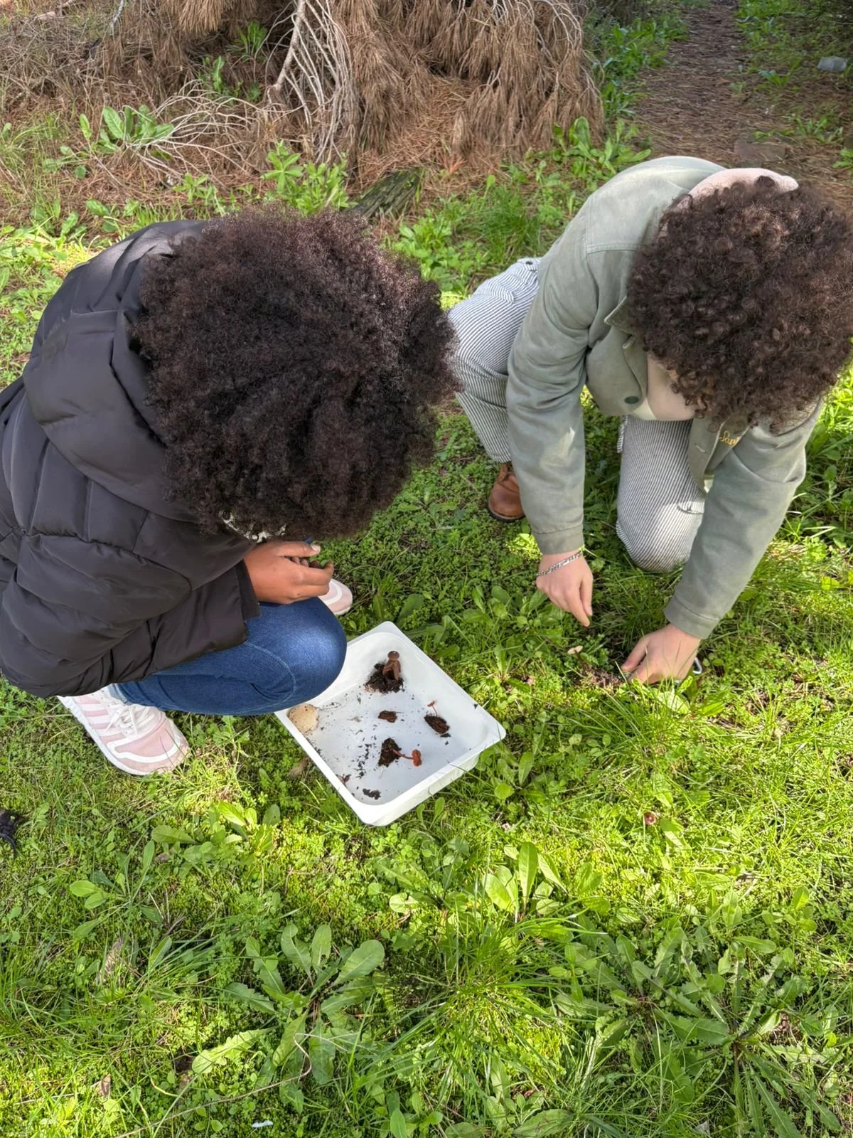 WhatsApp Image 2026-01-12 at 09.56.32.jpeg