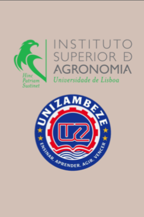 Novas oportunidades de investigação em economia circular