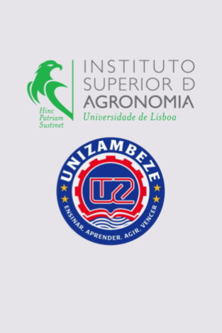 New Research Opportunities on Circular Economy