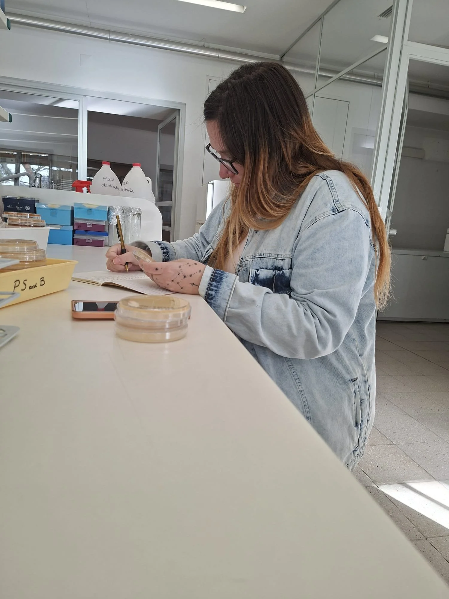 WhatsApp Image 2026-03-05 at 19.10.56.jpeg