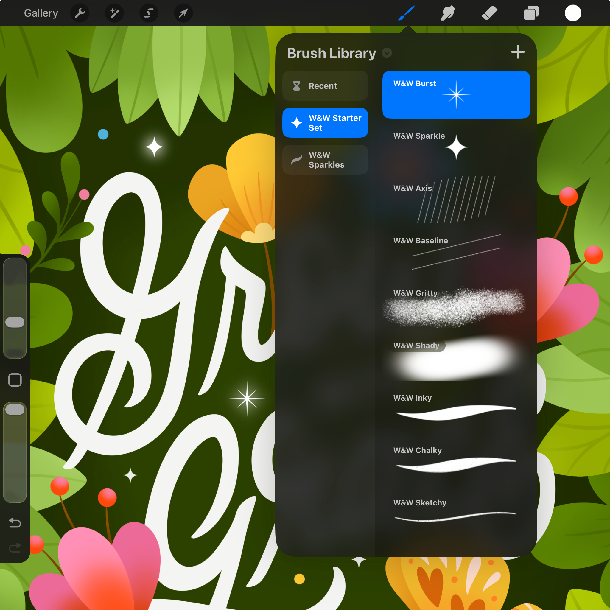 Procreate Starter Set
